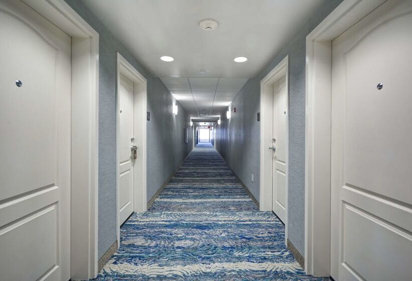 فندق Homewood Suites Wilmington/mayfaire