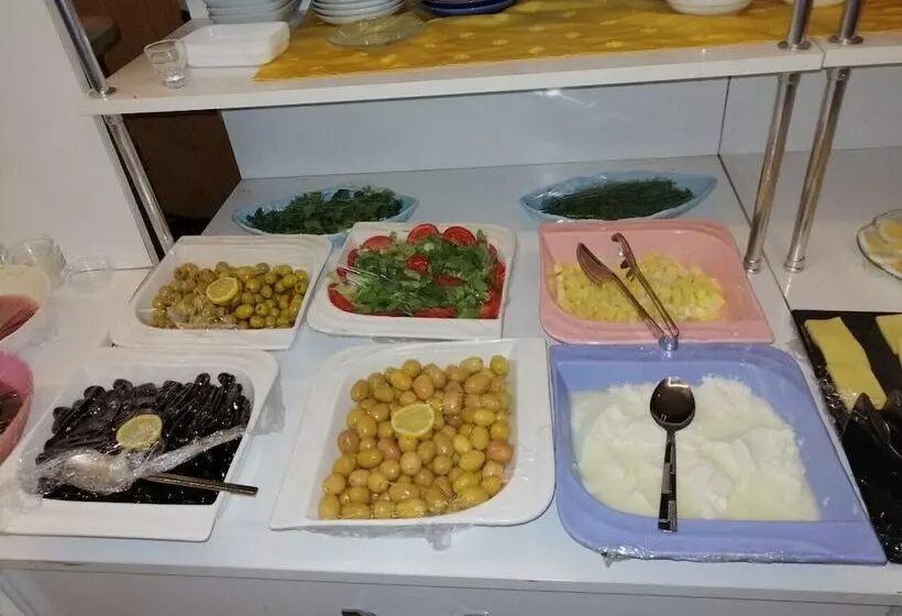 호텔 Mevlana şems