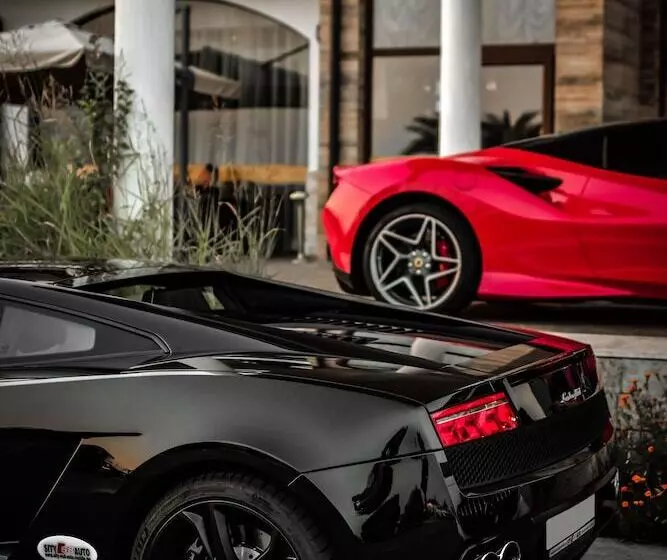 酒店 Palace Marina Dinevi