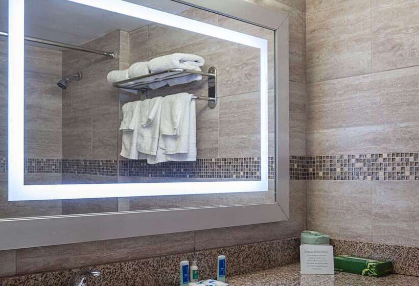 Otel Rodeway Inn Meadowlands