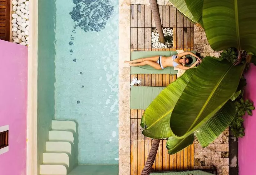 Rosas & Xocolate Boutique Hotel And Spa Merida, A Member Of Design Hotels