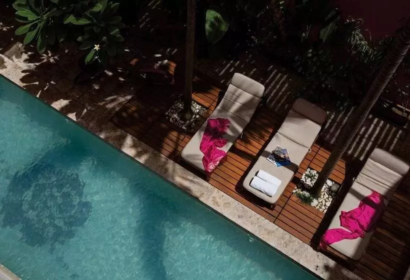 Rosas & Xocolate Boutique Hotel And Spa Merida, A Member Of Design Hotels