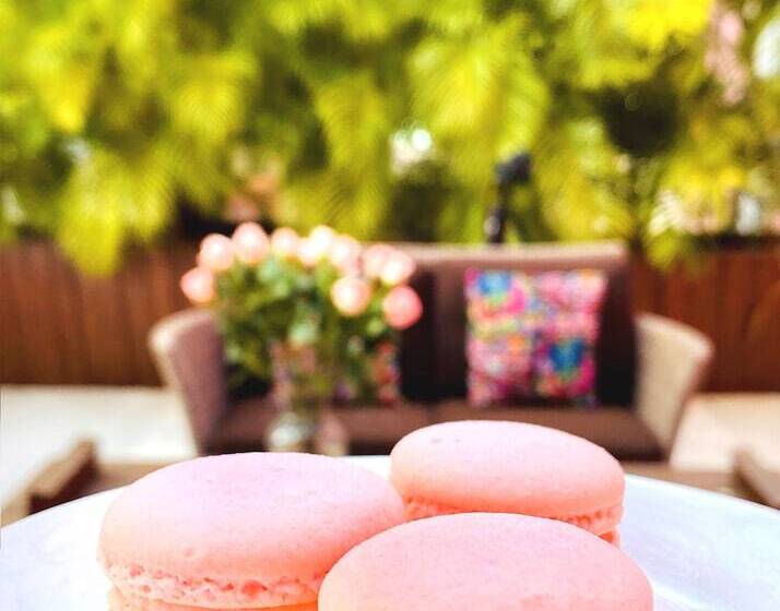 Rosas & Xocolate Boutique Hotel And Spa Merida, A Member Of Design Hotels