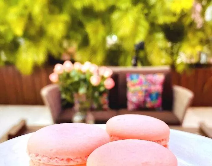 Rosas & Xocolate Boutique Hotel And Spa Merida, A Member Of Design Hotels