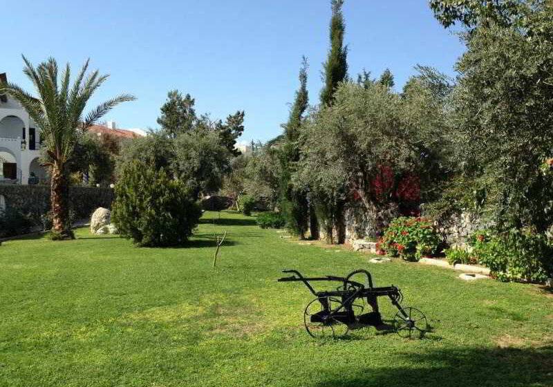 Altinkaya Holiday Resort