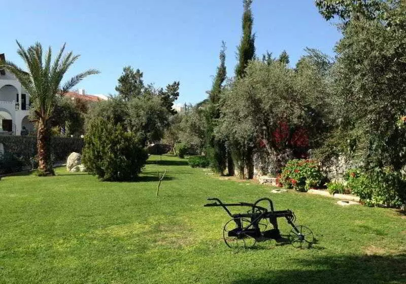 Altinkaya Holiday Resort