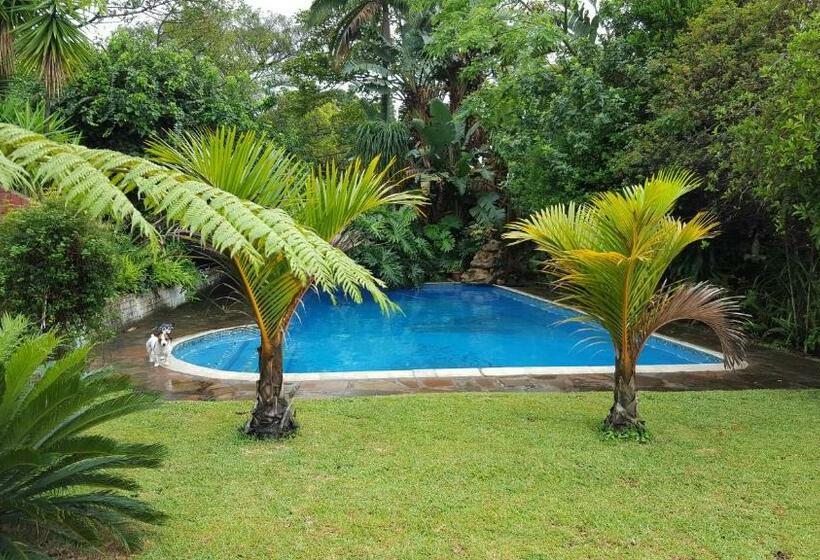 膳宿费 African Dwarf Kingfisher Guesthouse