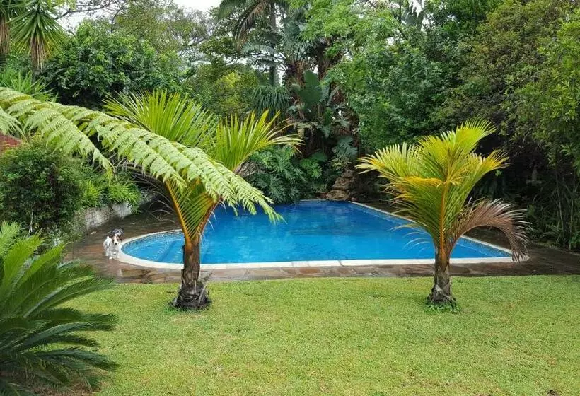 Majatalo African Dwarf Kingfisher Guesthouse