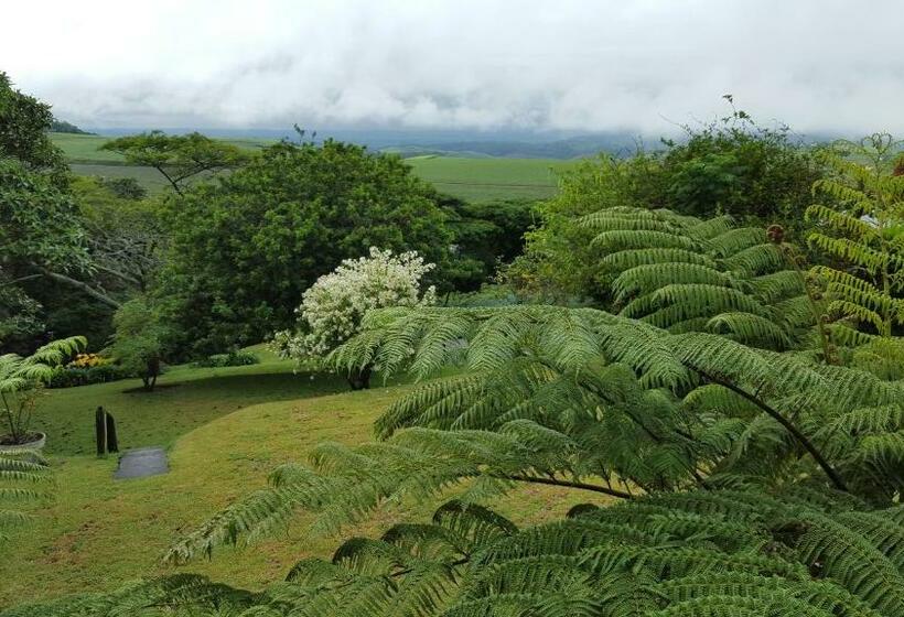 膳宿费 African Dwarf Kingfisher Guesthouse