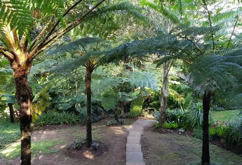 Majatalo African Dwarf Kingfisher Guesthouse