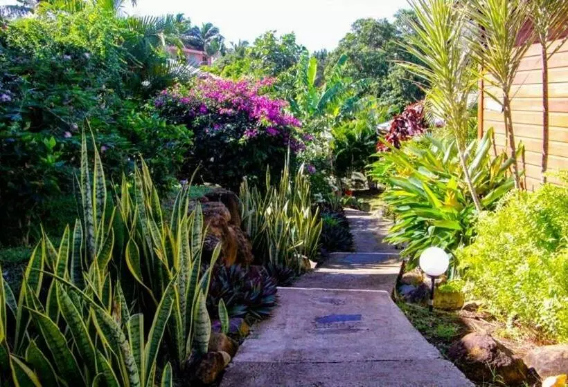 پانسیون Amour Deshaies