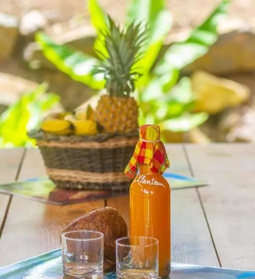 پانسیون Amour Deshaies