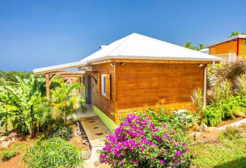 پانسیون Amour Deshaies