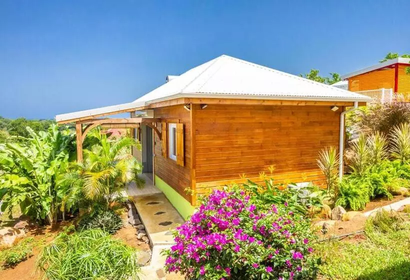 پانسیون Amour Deshaies