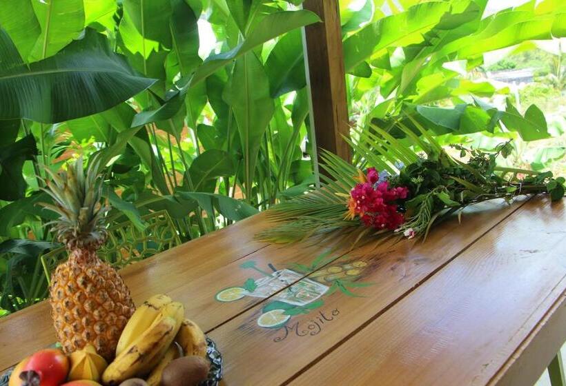 پانسیون Amour Deshaies