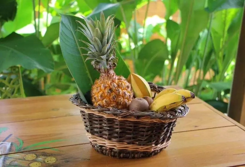 پانسیون Amour Deshaies