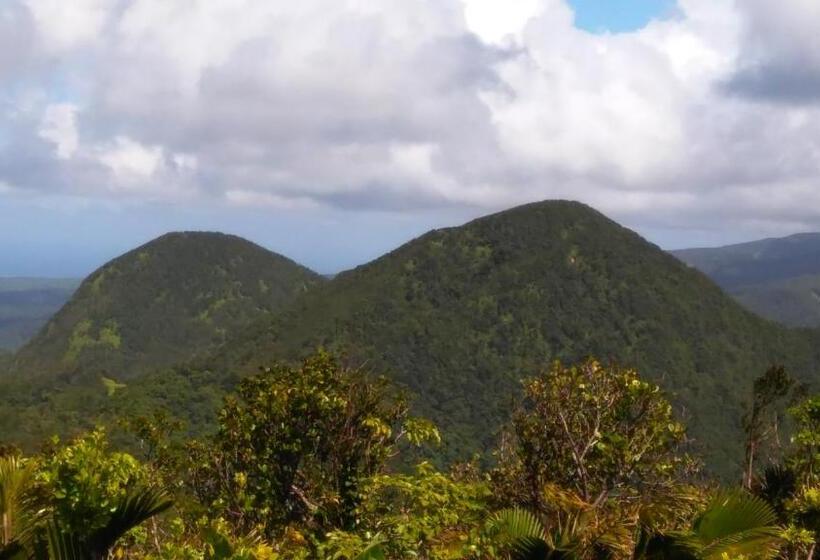 پانسیون Amour Deshaies