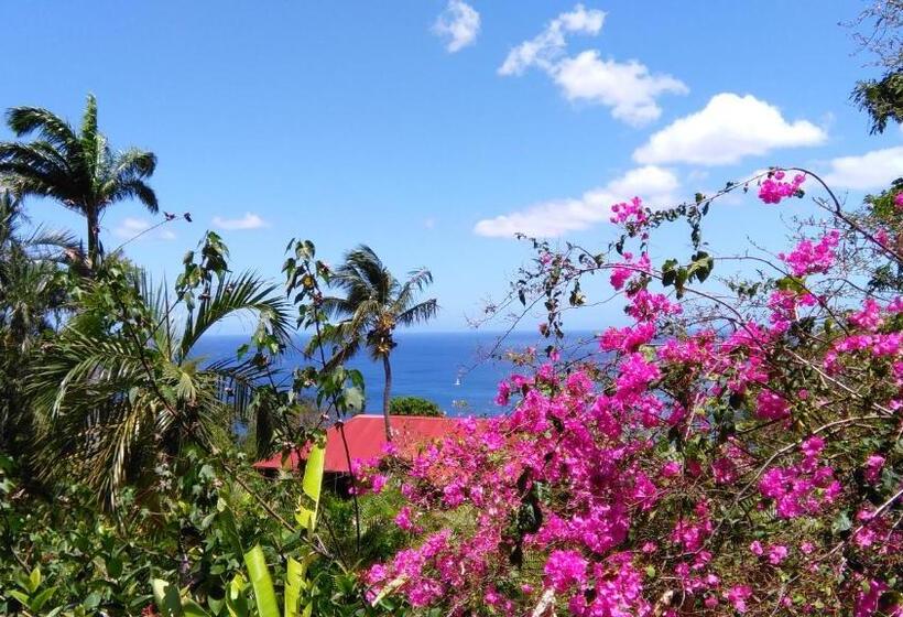 پانسیون Amour Deshaies