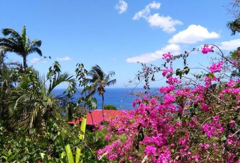 پانسیون Amour Deshaies