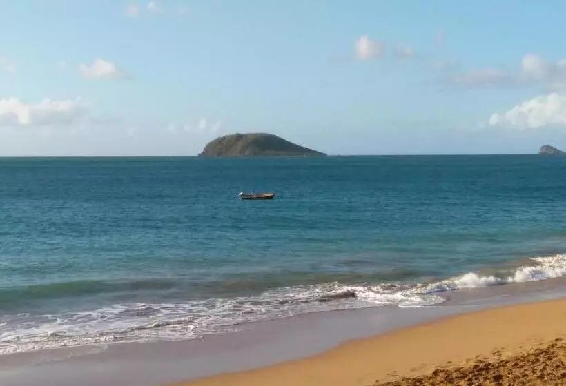 پانسیون Amour Deshaies