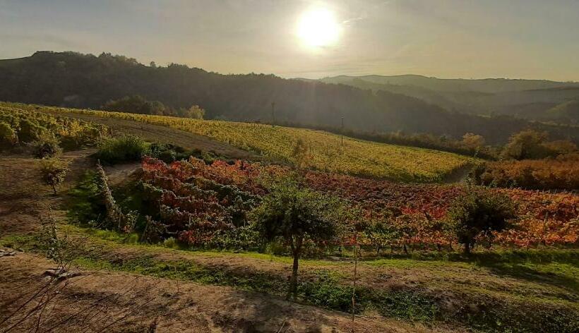 膳宿费 B&b Mermaid N 16/a