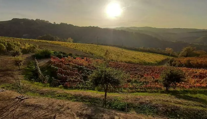 Majatalo B&b Mermaid N 16/a