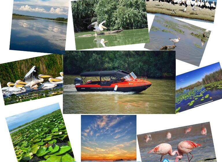 Пансион Casa Trandafirilor