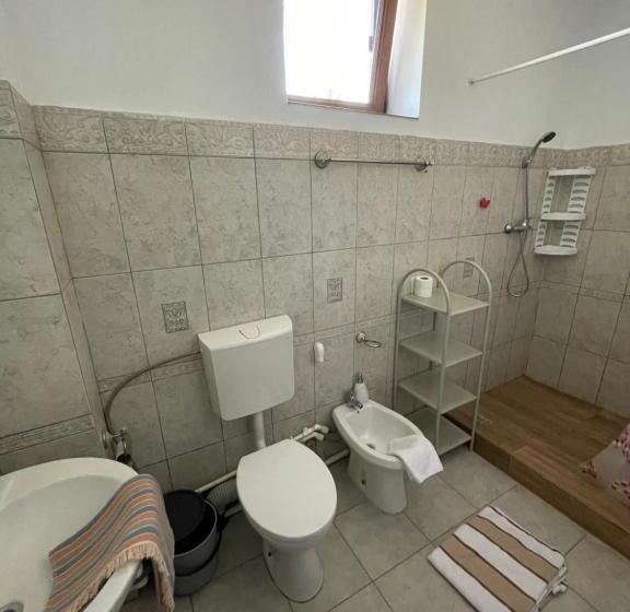 Пансион Casa Trandafirilor