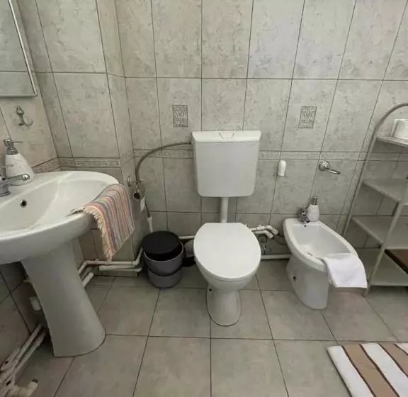 پانسیون Casa Trandafirilor