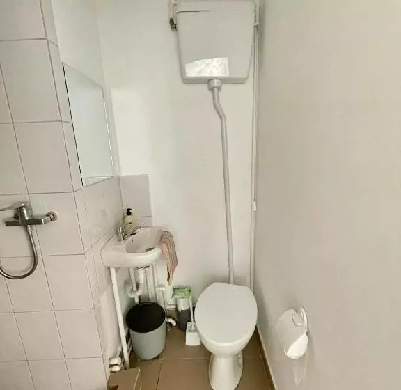 پانسیون Casa Trandafirilor