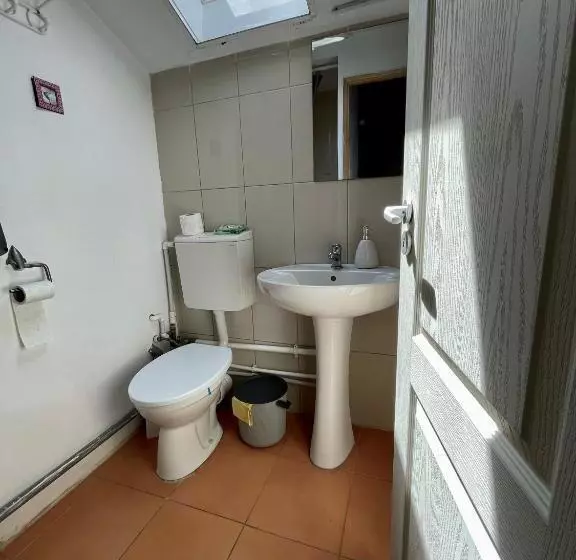 پانسیون Casa Trandafirilor