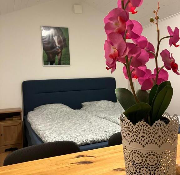 ホテル Low Budget Bungalows