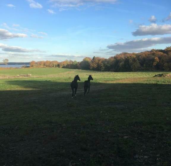 ホテル Low Budget Bungalows