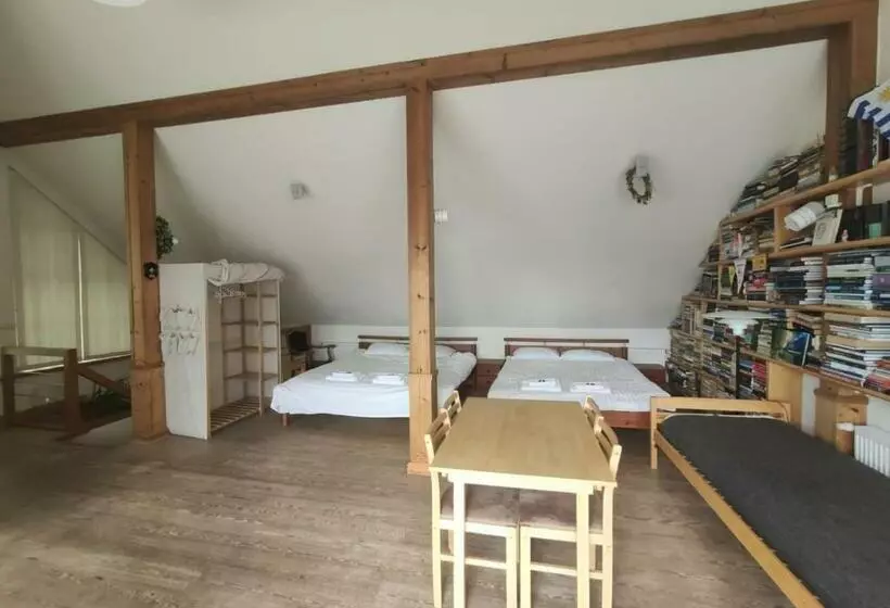 پانسیون Vikingu Guest House