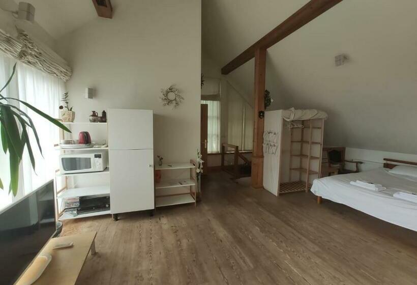 Пансион Vikingu Guest House