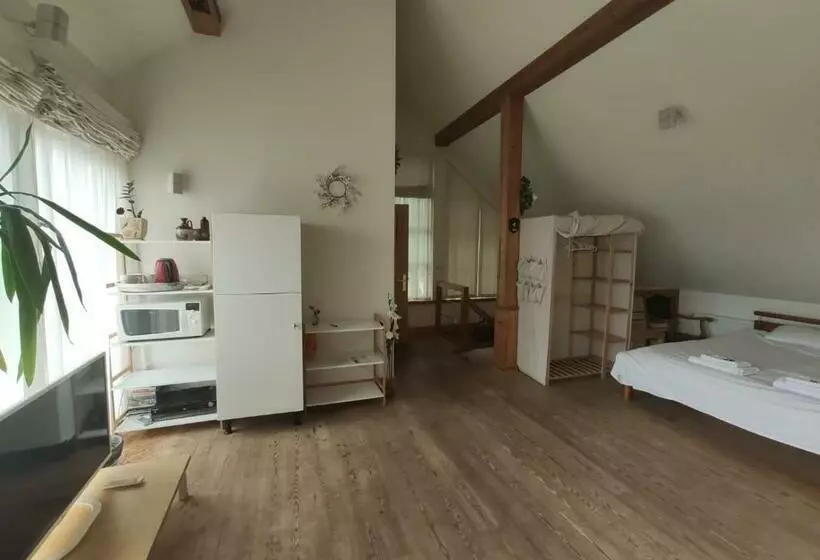 پانسیون Vikingu Guest House