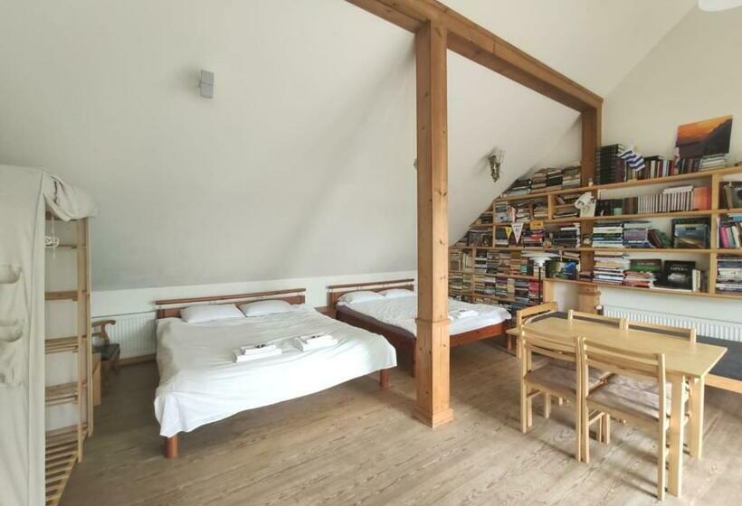 Пансион Vikingu Guest House