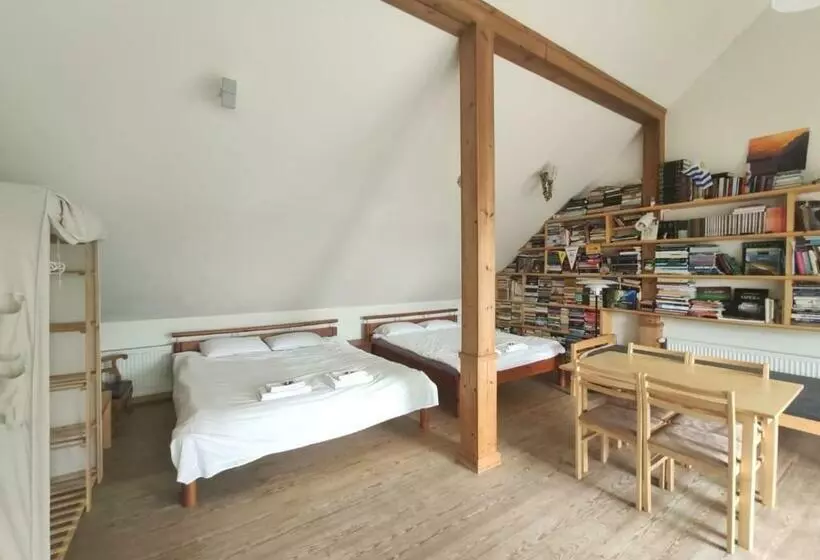 پانسیون Vikingu Guest House