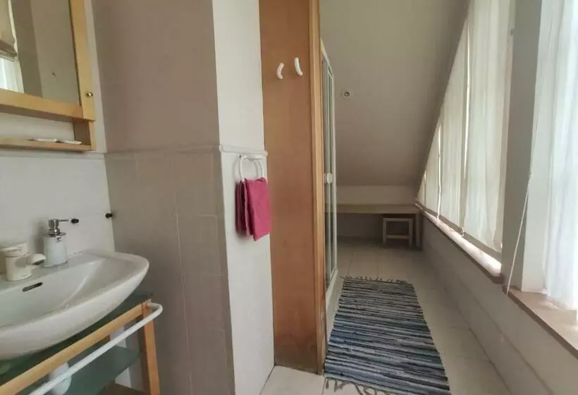 پانسیون Vikingu Guest House