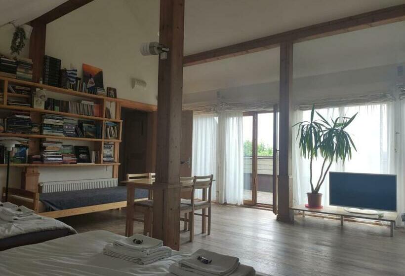 Пансион Vikingu Guest House