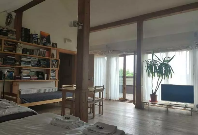 پانسیون Vikingu Guest House