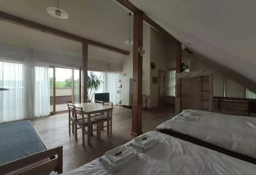 پانسیون Vikingu Guest House