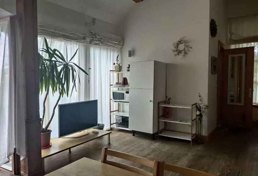 پانسیون Vikingu Guest House