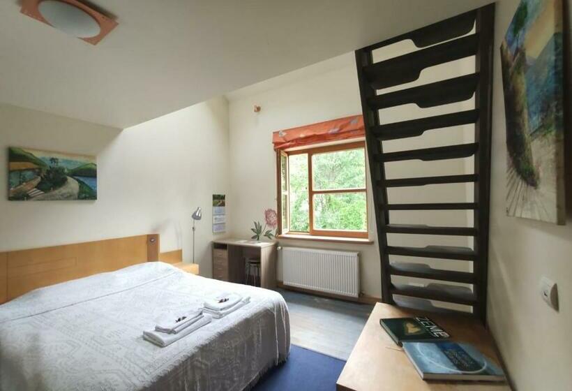 Пансион Vikingu Guest House