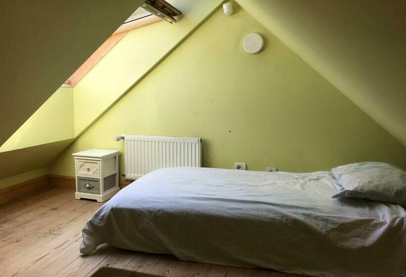 Пансион Vikingu Guest House