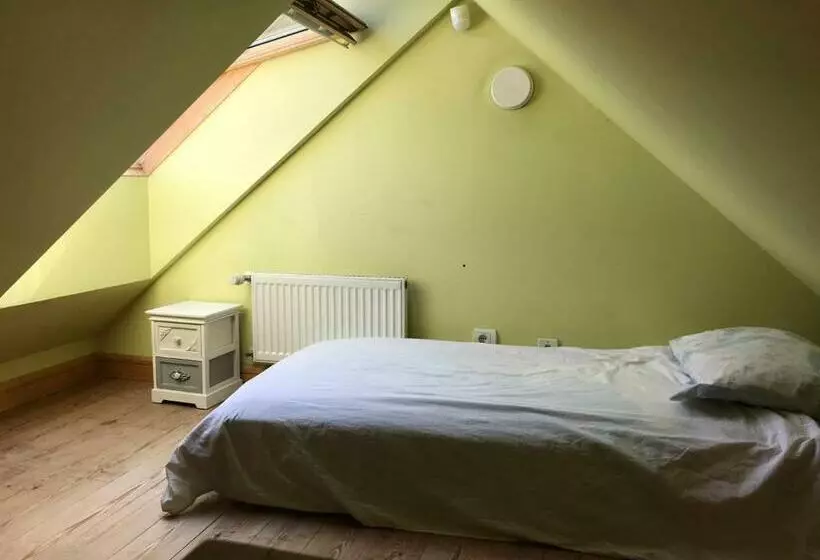 پانسیون Vikingu Guest House