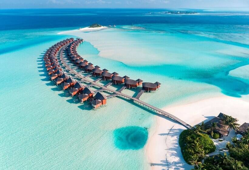 Anantara Dhigu Maldives Resort Complimentary Round Trip Transportation For Minimum Stay Of 3 Night