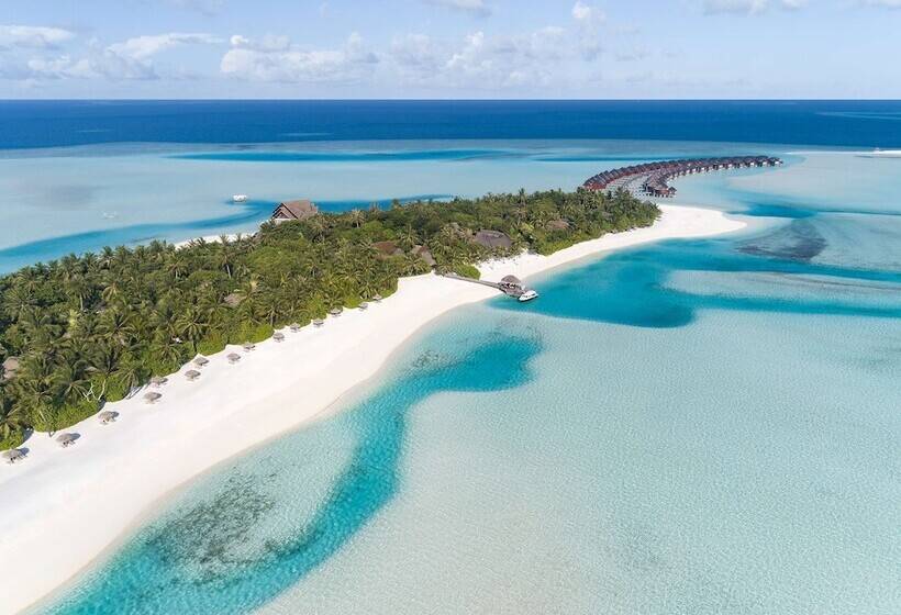 Anantara Dhigu Maldives Resort Complimentary Round Trip Transportation For Minimum Stay Of 3 Night