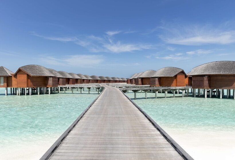 Anantara Dhigu Maldives Resort Complimentary Round Trip Transportation For Minimum Stay Of 3 Night