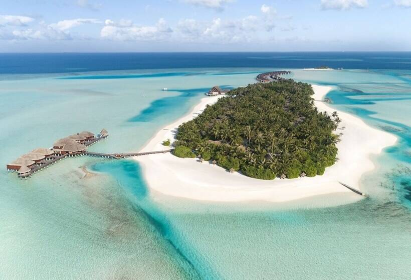 Anantara Dhigu Maldives Resort Complimentary Round Trip Transportation For Minimum Stay Of 3 Night